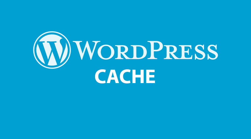 WordPress “Sayfa önbelleği algılanmadı ve sunucu yanıt süresi yavaş” hatası